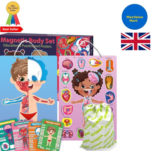 Interactive magnetic puzzles - magnetic,