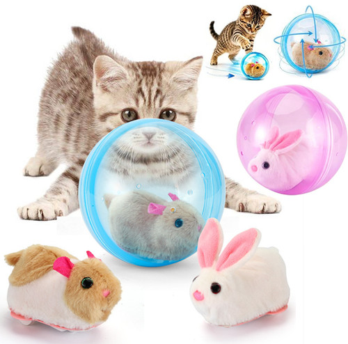 Self rolling interactive - interactive, cat
